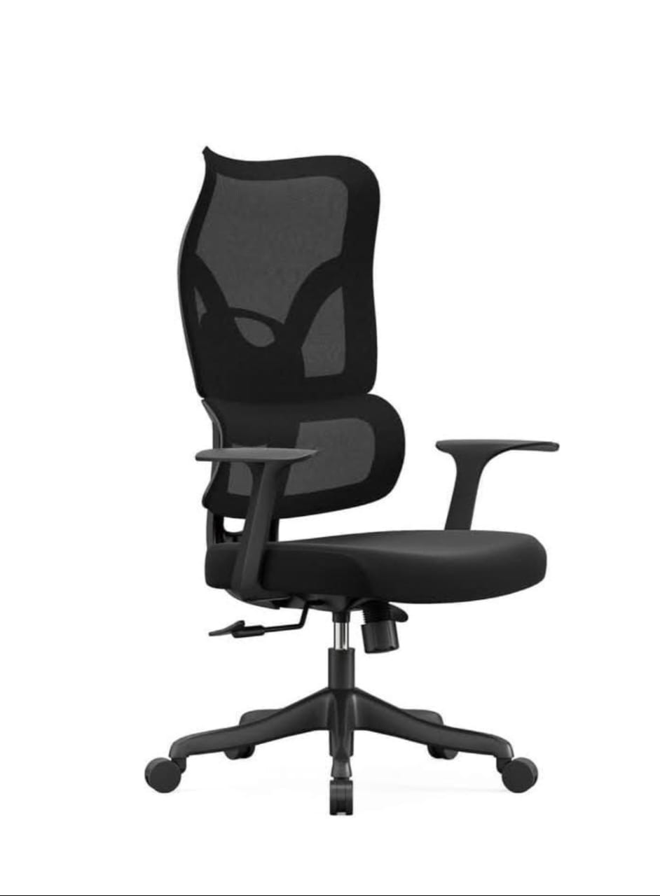 Ergonomic Mesh Office Chair